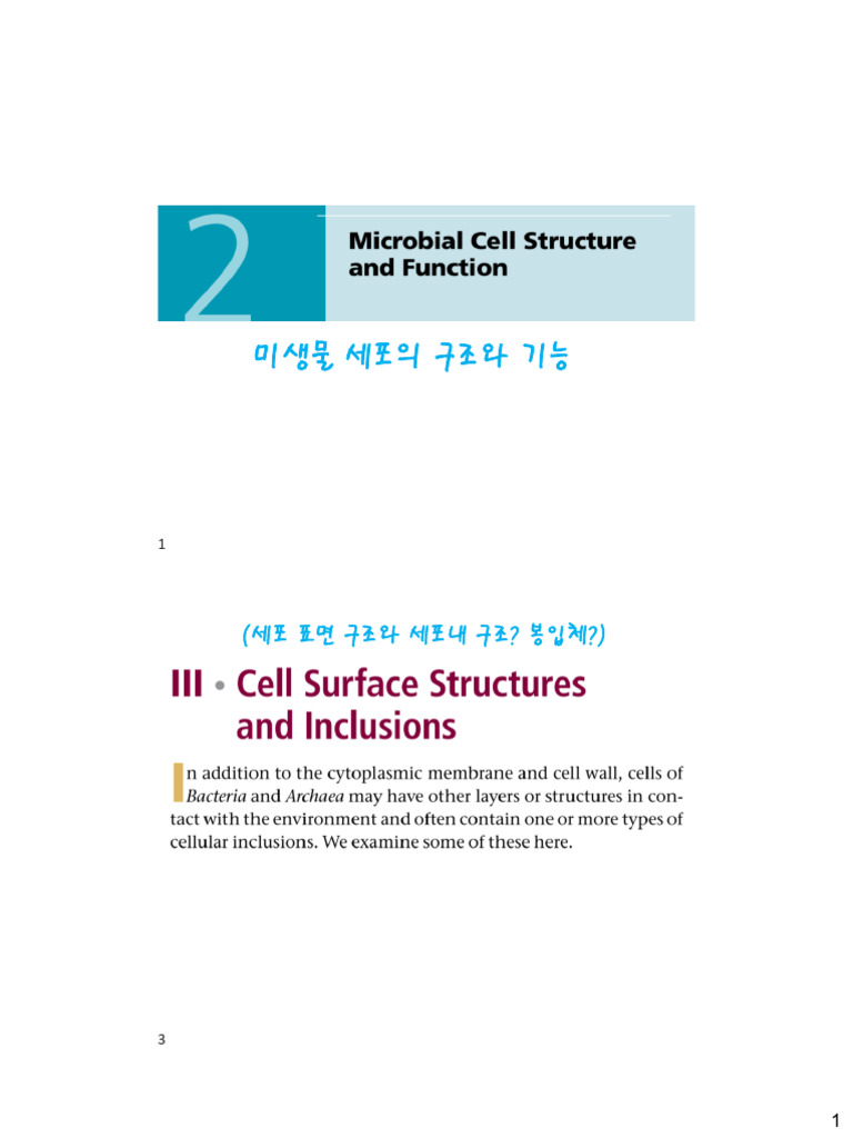 2026S Microbiology1 3rd Lectures | PDF | Eukaryotes | Cell (Biology)