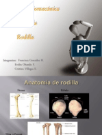 Biomecánica de la rodilla: músculos, ligamentos y movimientos