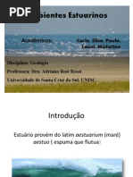 Ambientes Estuarinos