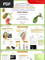 Diámetro del conducto colédoco y coledocolitiasis | PDF | Vesícula ...