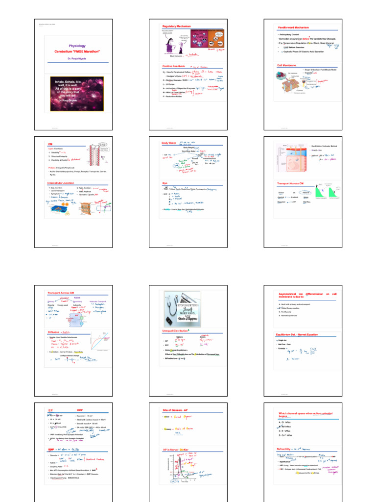 Physiology Marathon FMGE (July, 2025) - 06-07-2025 - converted | PDF