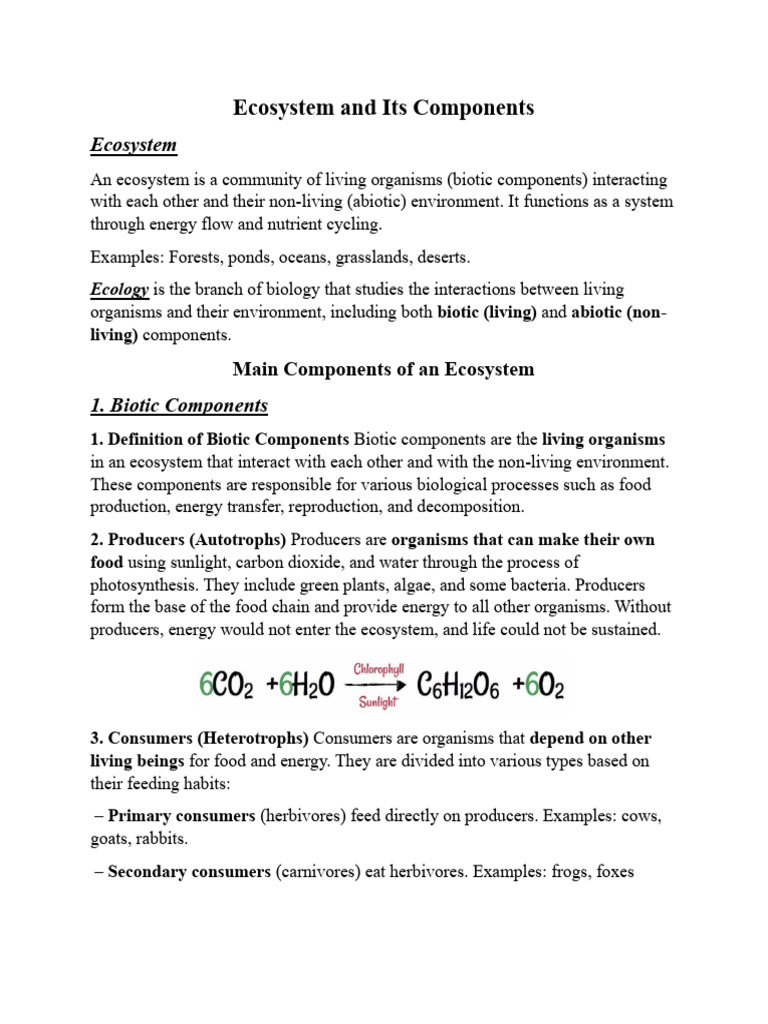 5. Ecosystem and Its Components | PDF | Ecosystem | Food Web