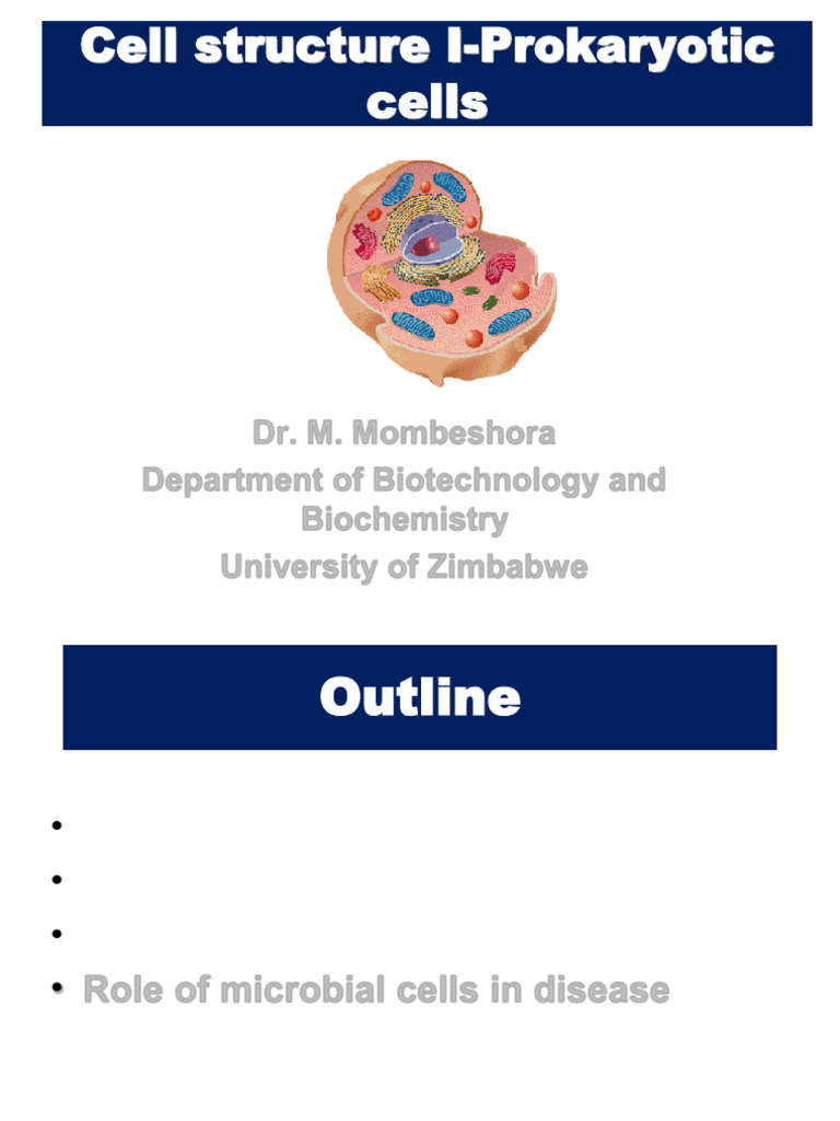 1 Cell Structure and Organisation | PDF | Cell (Biology) | Endoplasmic ...