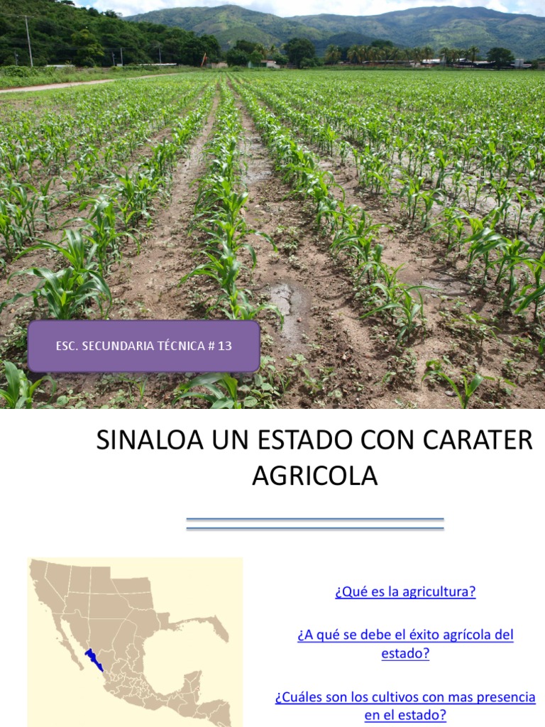 Sinaloa Un Estado Con Carater Agricola | PDF | Hogar, jardinería y ...