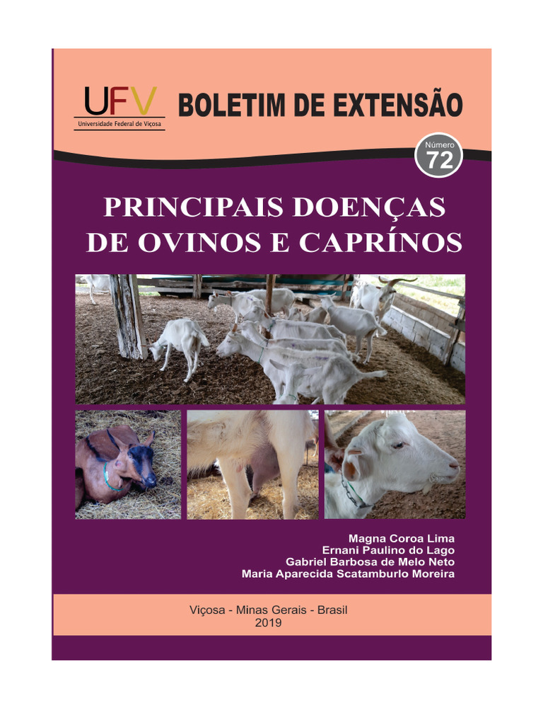Texto Completo | PDF