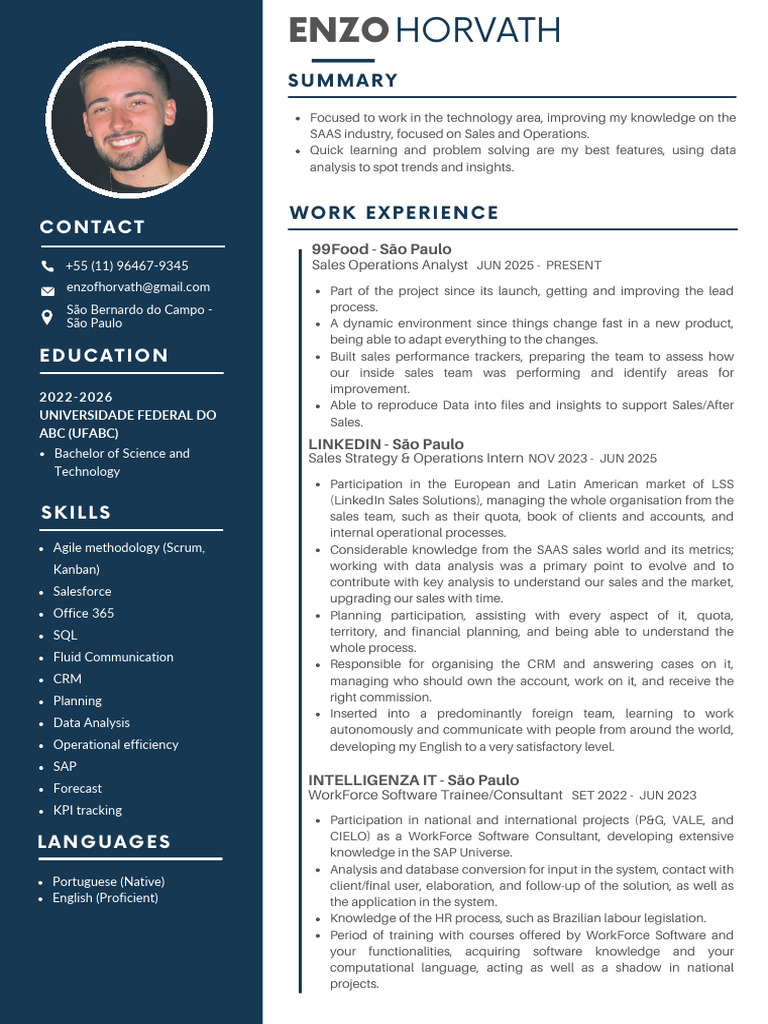 CV Enzo Horvath en (3) | PDF | Computing | Information Technology