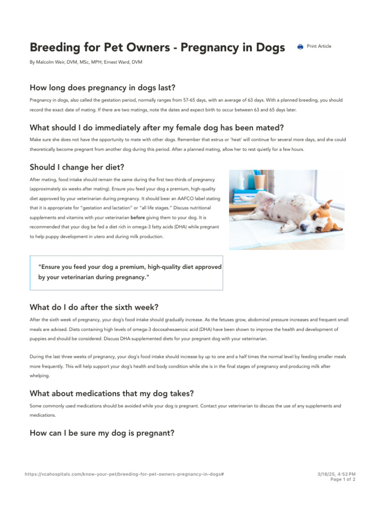 Breeding for Pet Owners - Pregnancy in Dogs | VCA Animal Hospitals ...