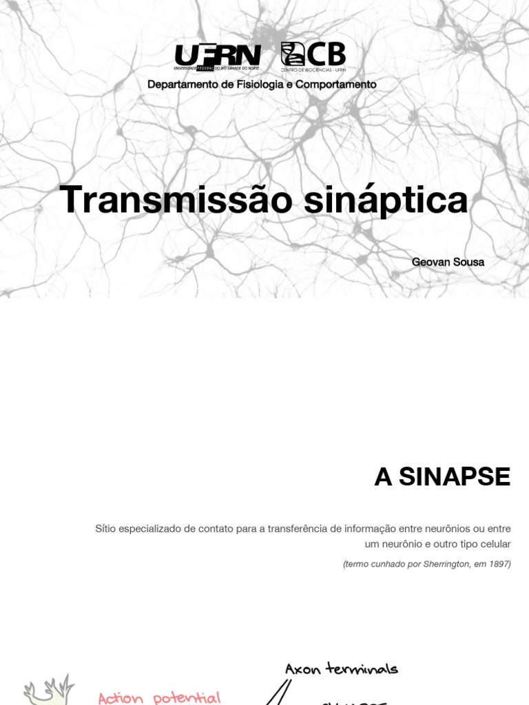 Aula 4 e 5 - Transmisso Sinptica I e II | PDF | Sinapse | Neurotransmissor