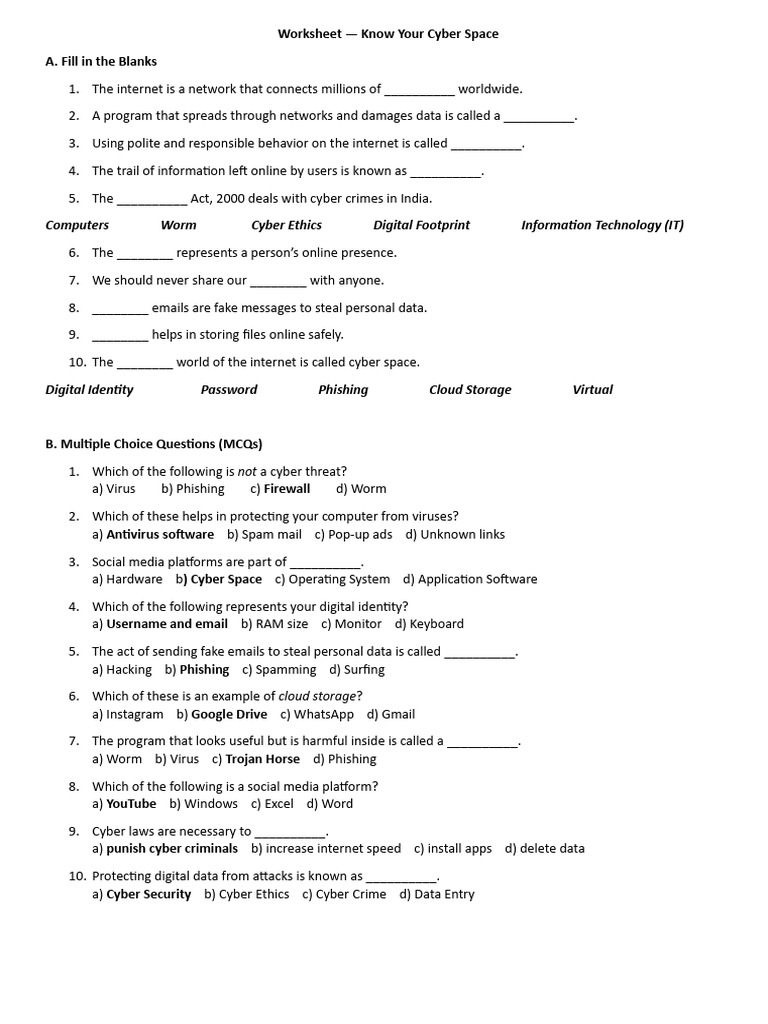 Know Your Cyber Space Worksheet | PDF | Security | Computer Security