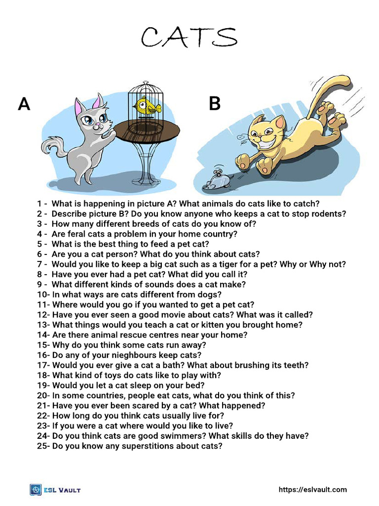 25 Cat Conversation Questions | PDF