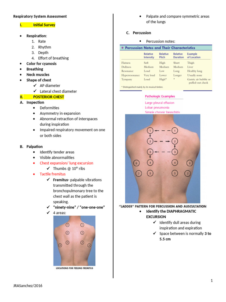 299031955 Respiratory System Assessment | PDF | Thorax | Respiratory System