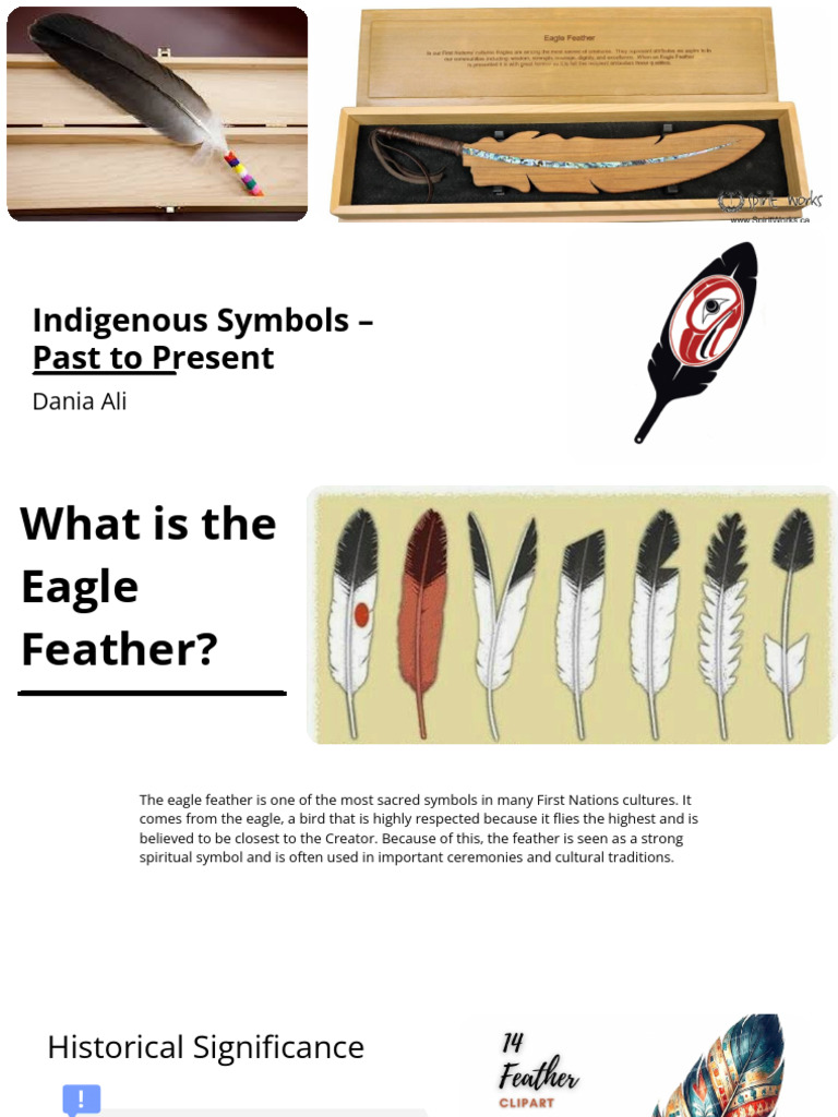 First Nations Innovators Education Presentation | PDF