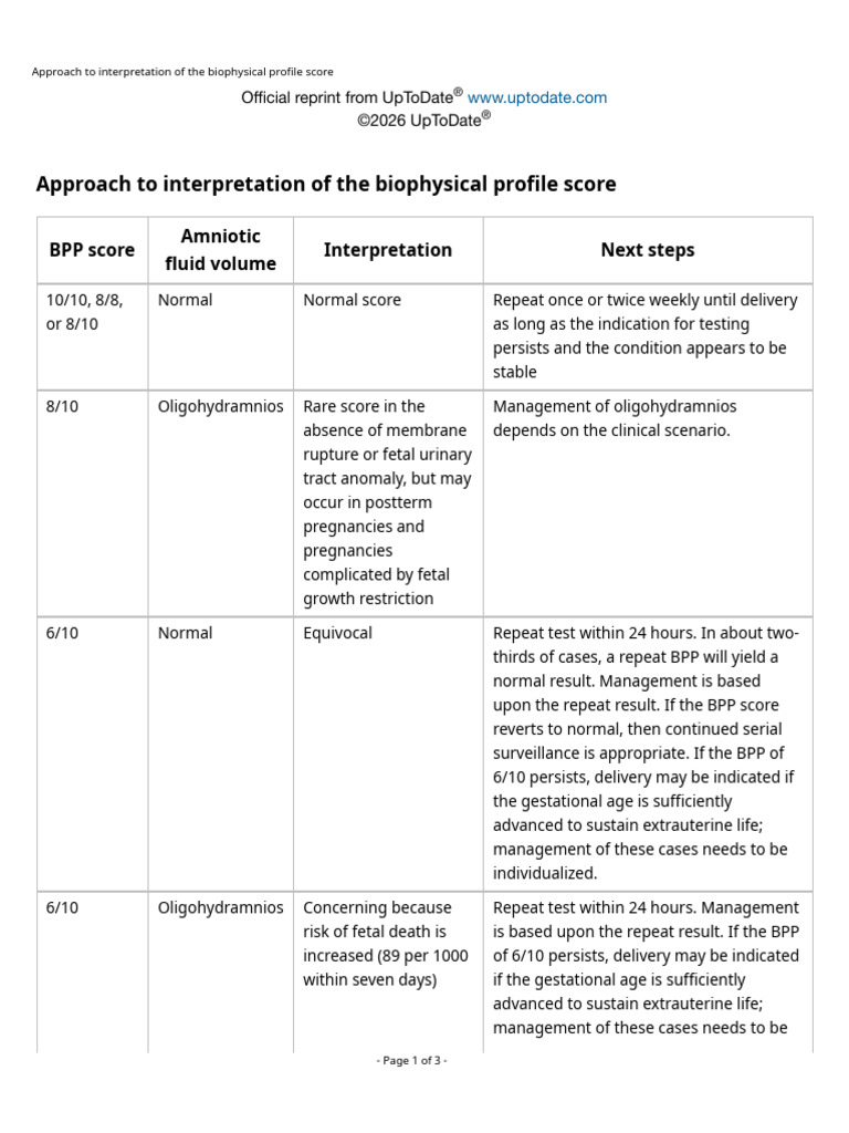 BPP Interpretation Management | PDF