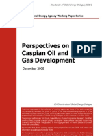 Perspectives On Caspian Oil and Gas Development: December 2008
