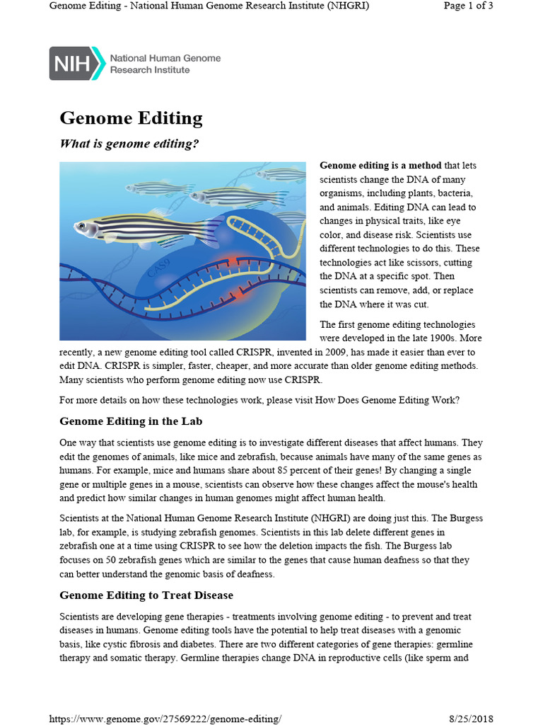 What is Genome Editing | PDF | Gene Therapy | Genome