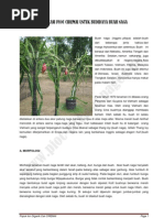 Download Aplikasi Pioc Ciremai Untuk Budidaya Buah Naga by pioc_ciremai SN103016320 doc pdf