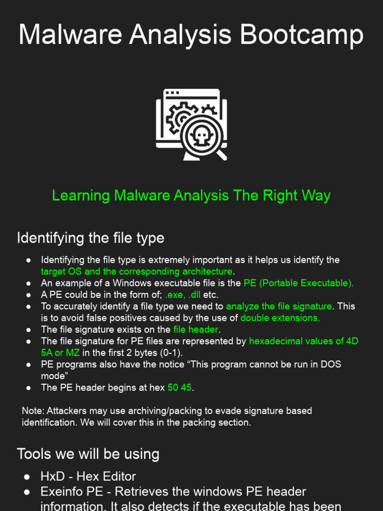 Identifying the File Type | PDF