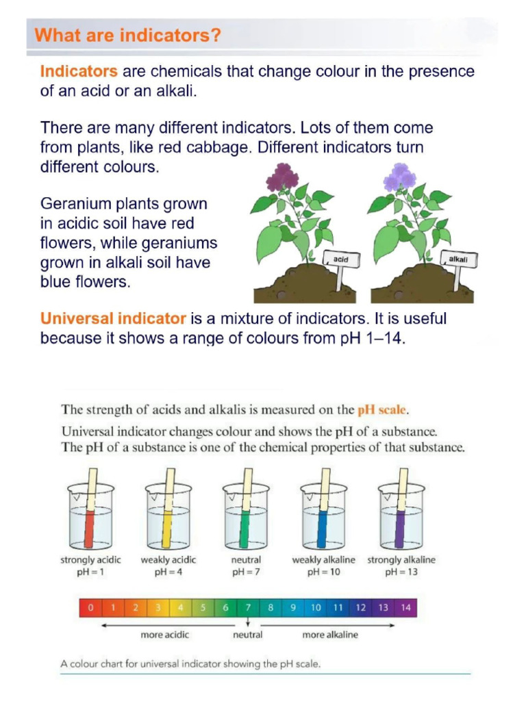Acids Alkalis Indicators + Common Acids | PDF