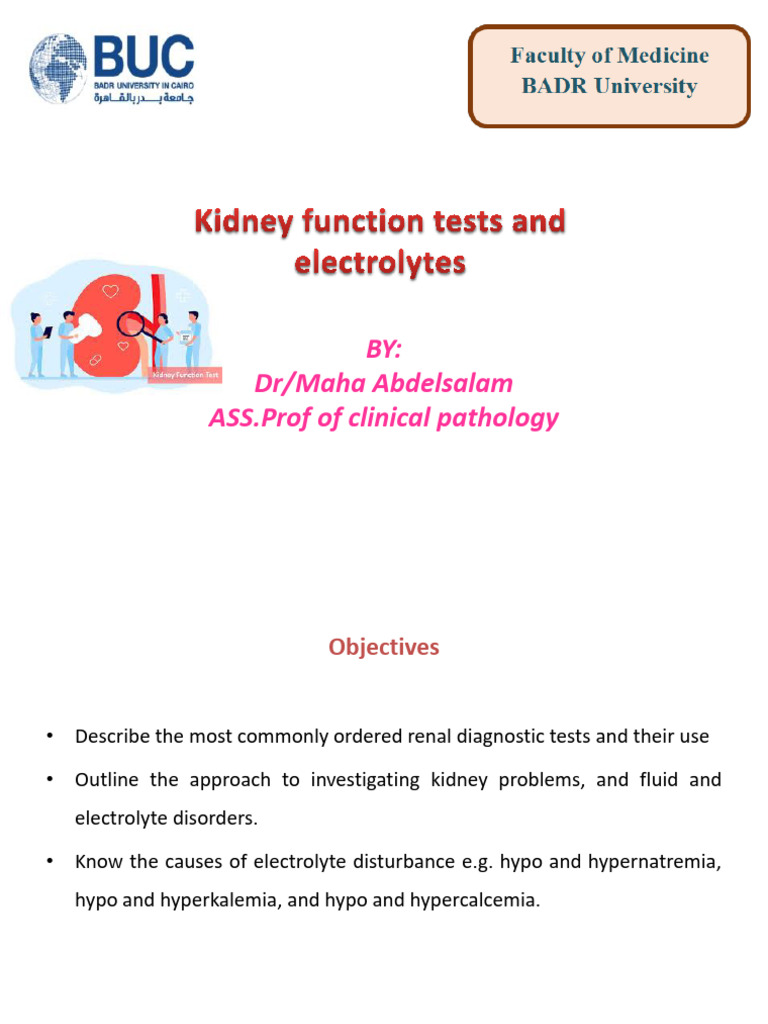 Lecture Kidney Function Tests and Electrolytes (1) - Copy (1) | PDF ...