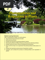Labeling Leaf Parts and Photosynthesis | PDF | Leaf | Plants