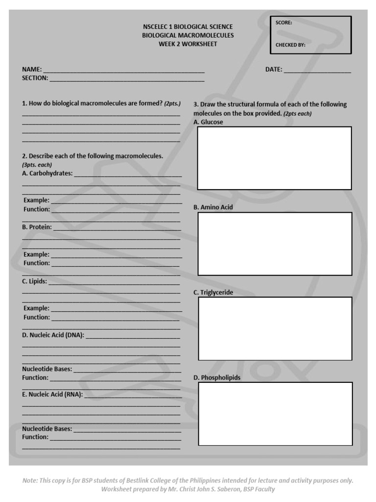 NSCELEC-1-BIOLOGICAL-SCIENCE-WORKSHEET-2 (1) | PDF | Macromolecules ...