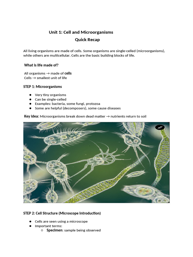 Unit 1 - Cell and Microorganisms | PDF | Cell (Biology) | Plants