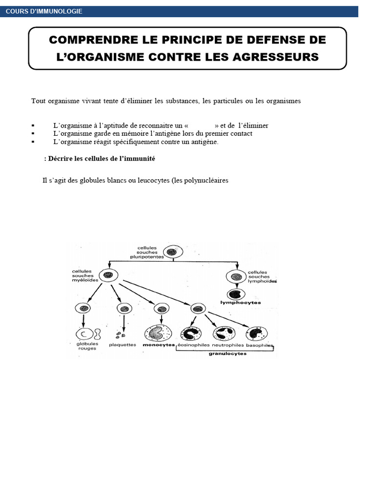 Immuno Logie | PDF | Système immunitaire | Globule blanc