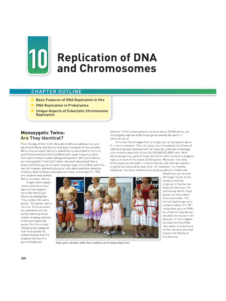 DNA REPLICATION | PDF
