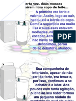 A Lição Da Mosca