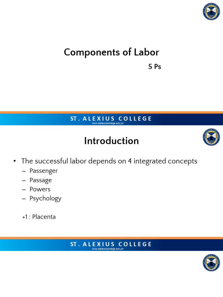 Components of Labor | PDF | Pelvis | Skull