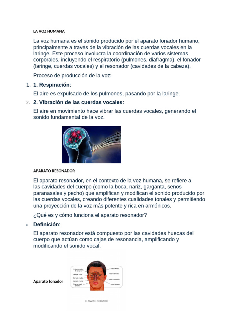 Aparato fonador | PDF | Voz humana | Sistema respiratorio