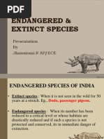 Endangered & Extinct Species