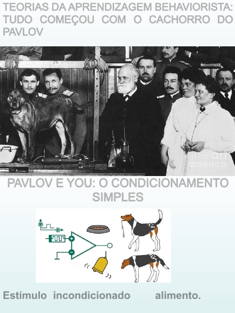 Teorias Behavioristas Da Aprendizagem | PDF | Aprendizado | Behaviorismo