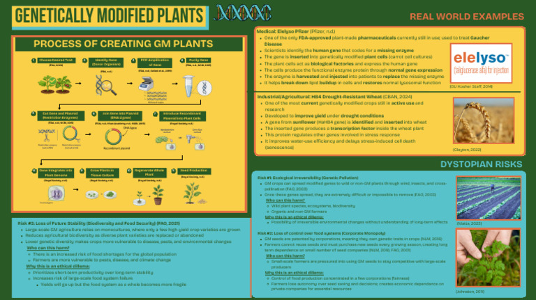 Genetically Modified Plants | PDF | Genetic Engineering | Agriculture