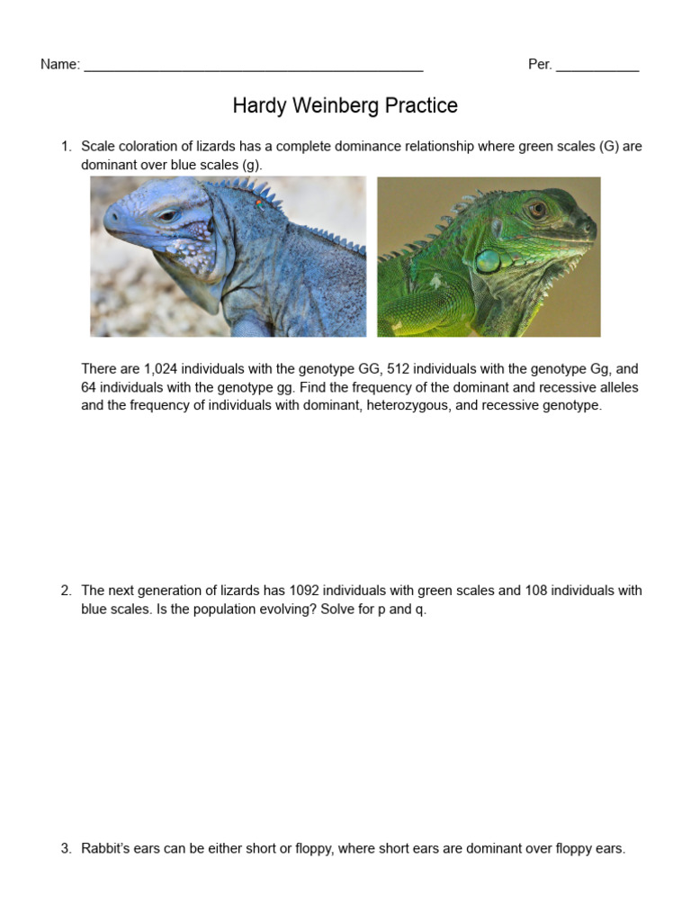 Hardy Weinberg Practice_3864516 | PDF | Zygosity | Dominance (Genetics)