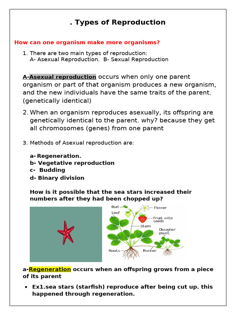Summary | PDF | Reproduction | Sexual Reproduction
