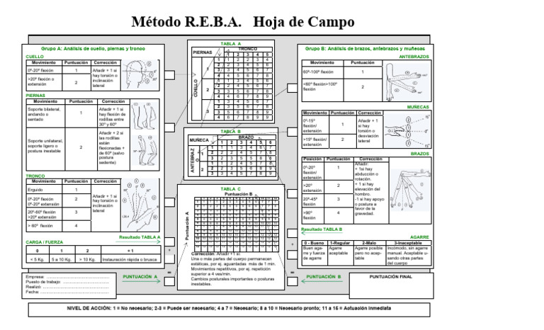 Plantilla Reba | PDF