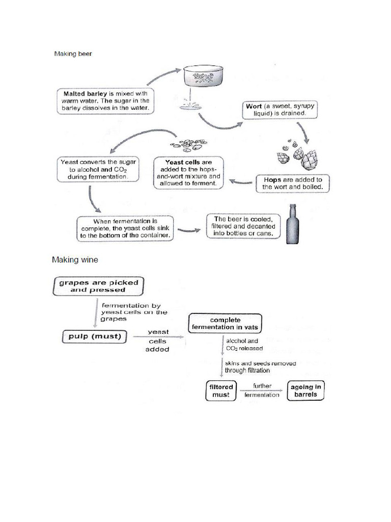 Cellular Respiration - Last | PDF