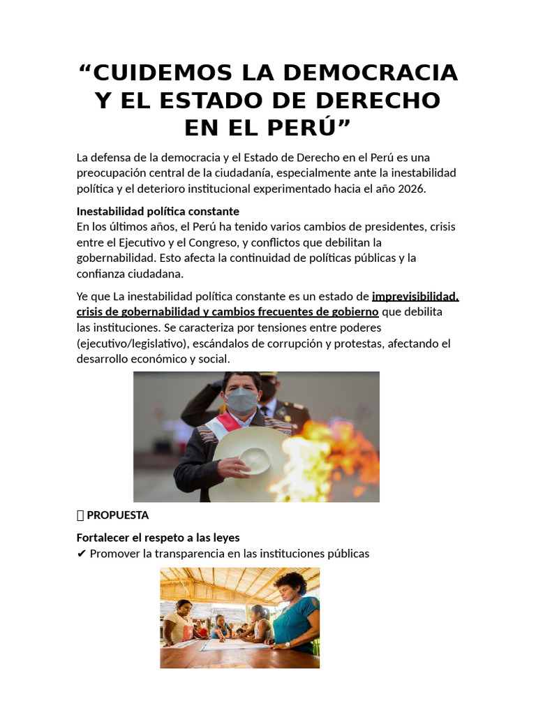 Cuidemos La Democracia y El Estado de Derecho en El Perú 33 (1) | PDF