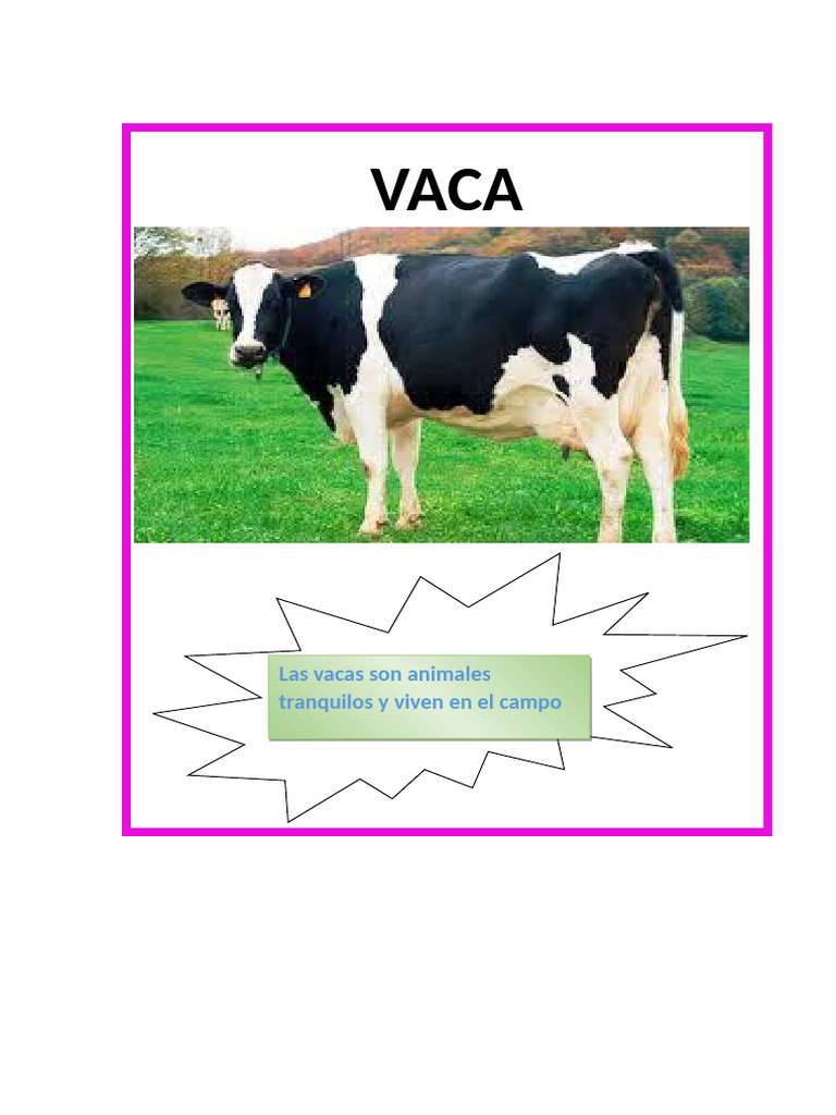 Vaca | PDF