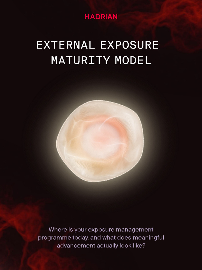 External Exposure Maturity Model (1) | PDF | Performance Indicator ...