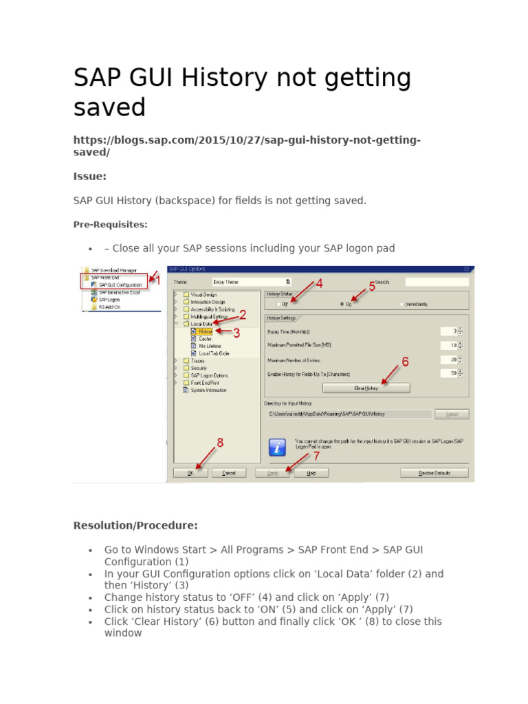 SAP GUI History Not Getting Saved | PDF