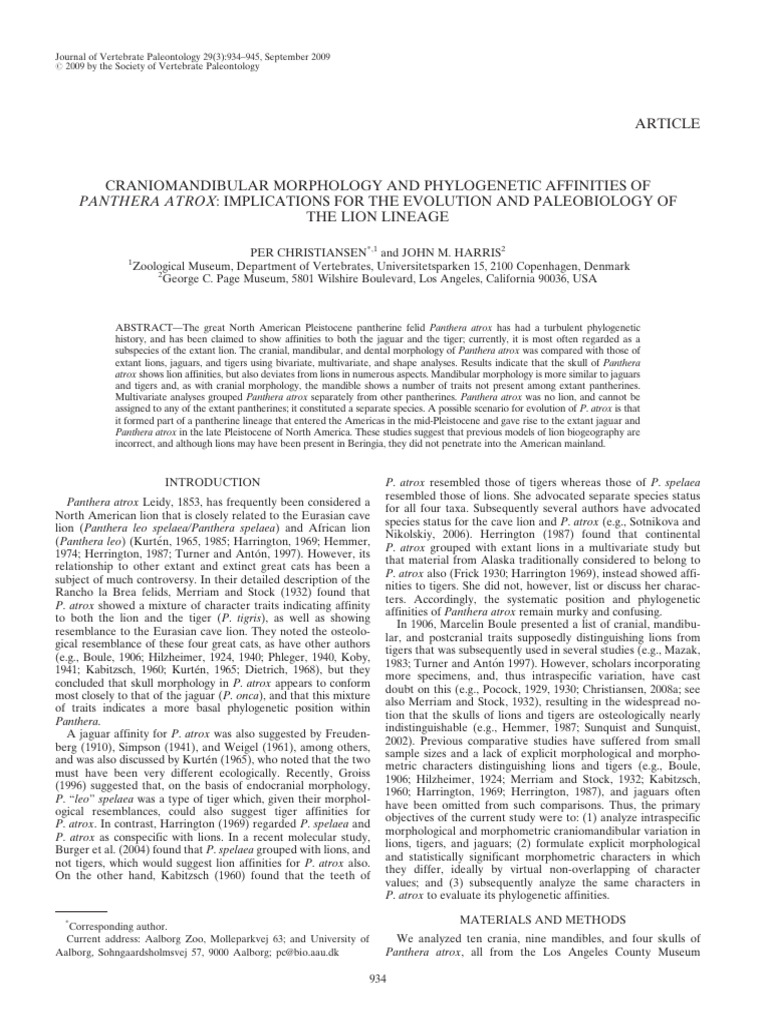 Craniomandibular Morphology and Phylogenetic Affinities of Panthera ...