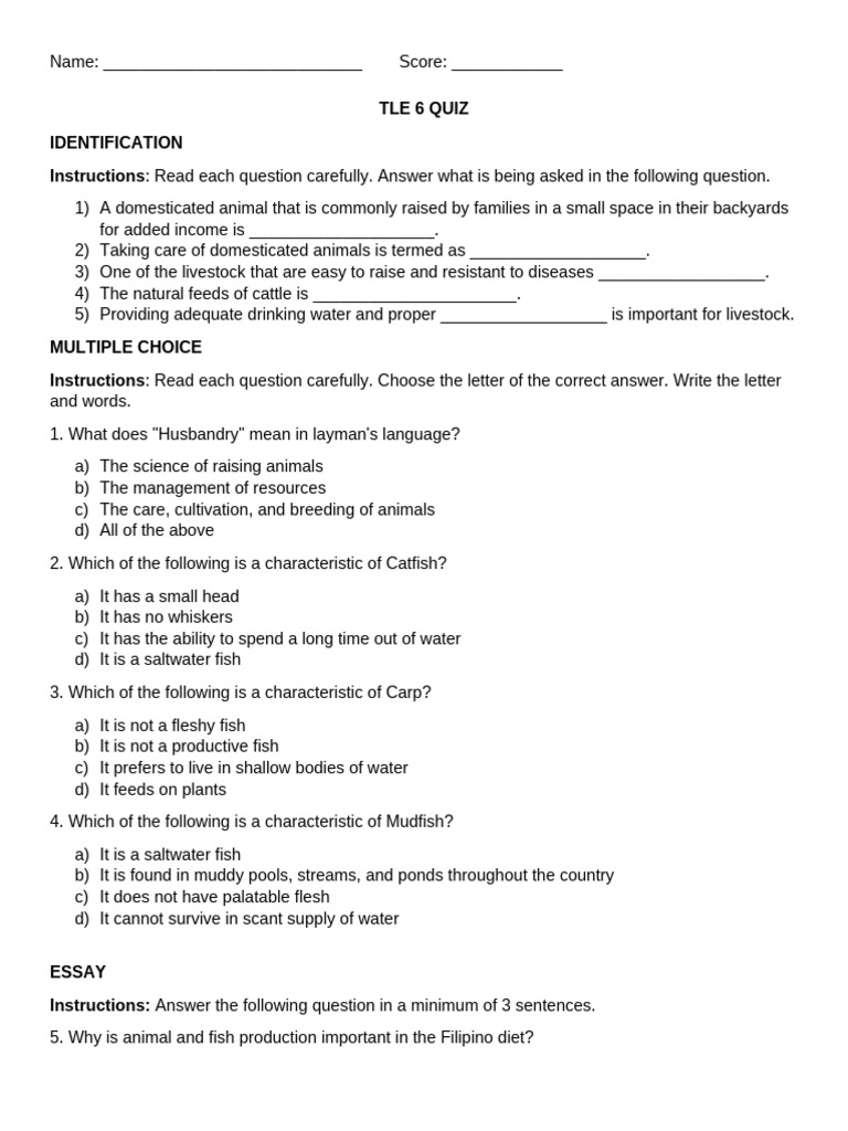 TLE 6 Quiz | PDF