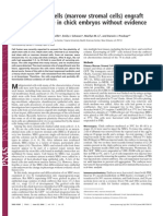 Rat Adult Stem Cells (Marrow Stromal Cells) Engraft and Differentiate in Chick Embryos Without Evidence of Cell Fusion