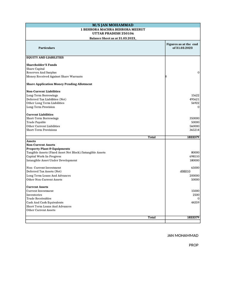 Balance Sheet Format | PDF | Balance Sheet | Financial Accounting