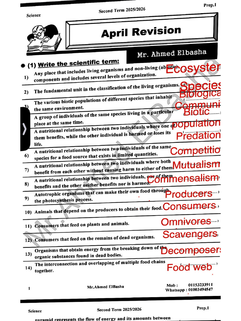 Document 33 | PDF