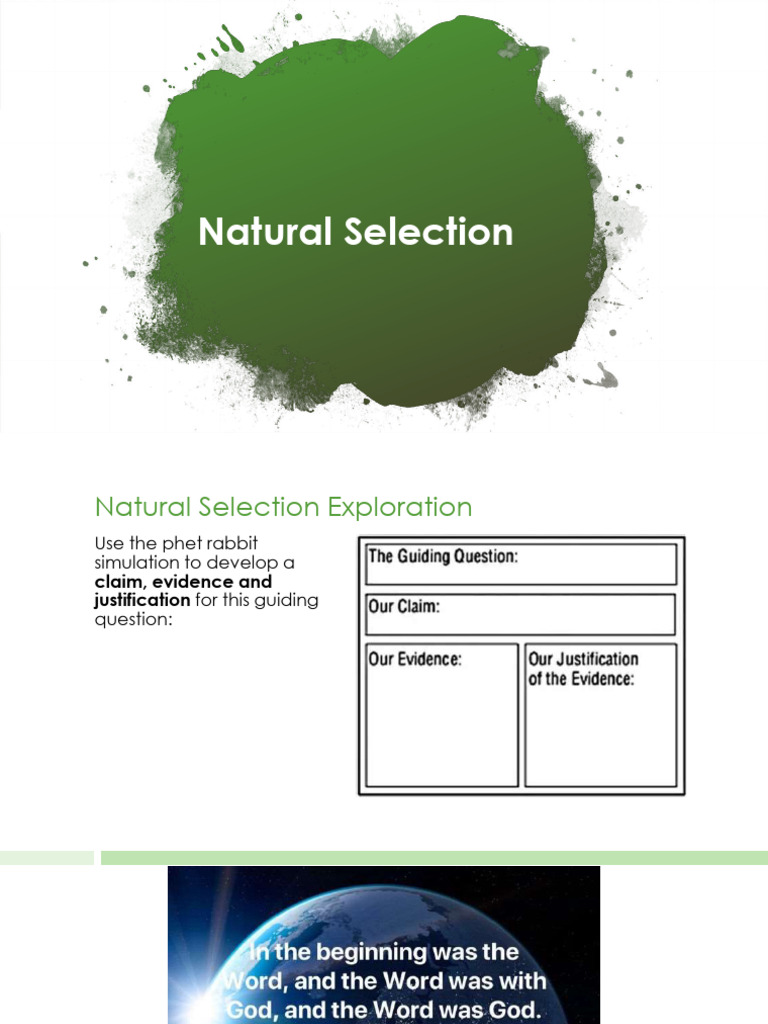 Darwin and Natural Selection Slides_2213804 | PDF