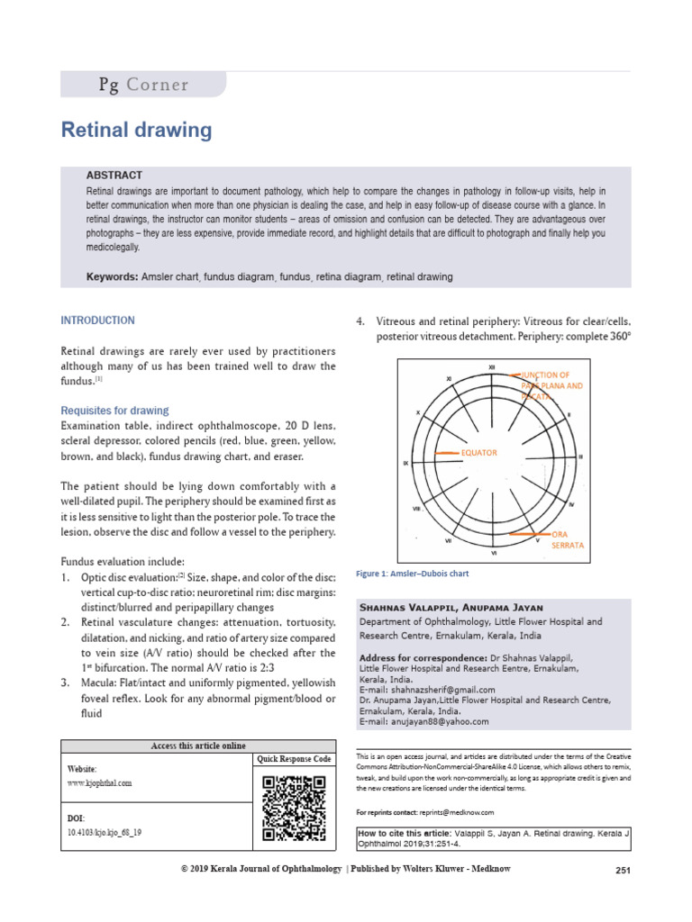 Retinal Drawing.17 | PDF | Retina | Ophthalmology
