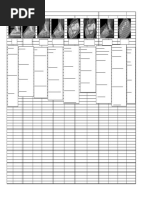 Lower Limb MRI Protocols and Anatomy | PDF | Foot | Human Leg
